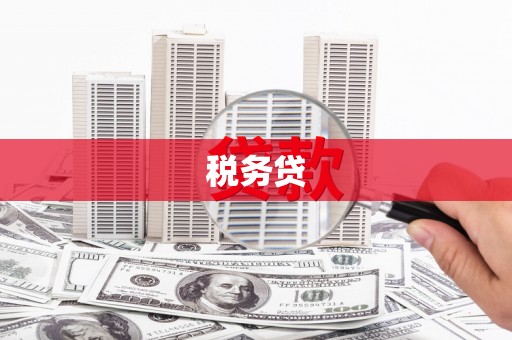 天元税务贷