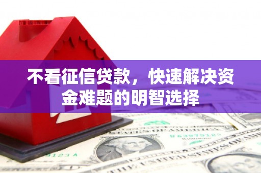 天元不看征信贷款，快速解决资金难题的明智选择