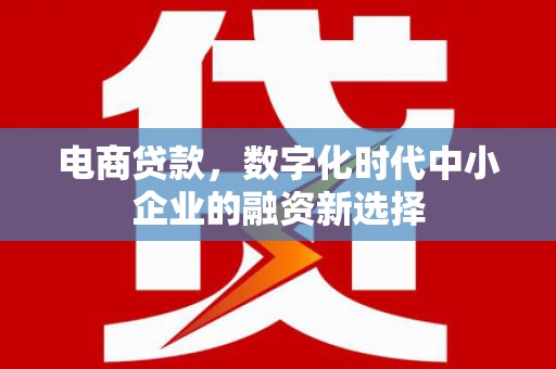 天元电商贷款，数字化时代中小企业的融资新选择