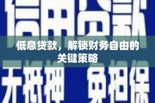 天元低息贷款，解锁财务自由的关键策略