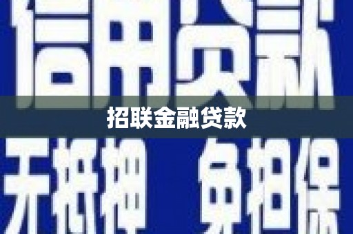 天元招联金融贷款