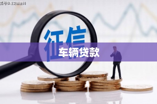 天元车辆贷款