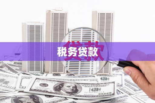 天元税务贷款