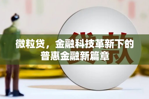 天元微粒贷，金融科技革新下的普惠金融新篇章