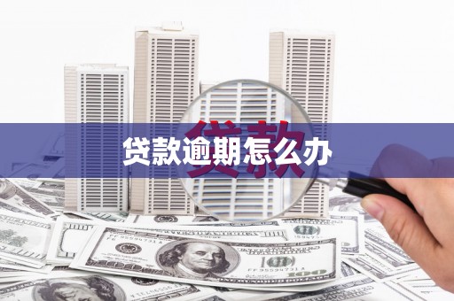 天元贷款逾期怎么办