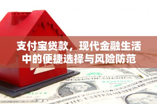 天元支付宝贷款，现代金融生活中的便捷选择与风险防范