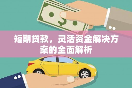 天元短期贷款，灵活资金解决方案的全面解析