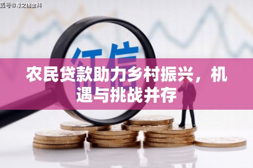 天元农民贷款助力乡村振兴，机遇与挑战并存