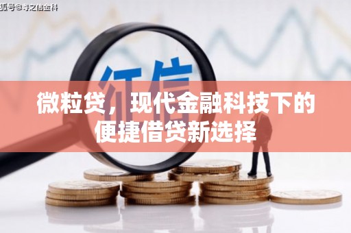天元微粒贷，现代金融科技下的便捷借贷新选择