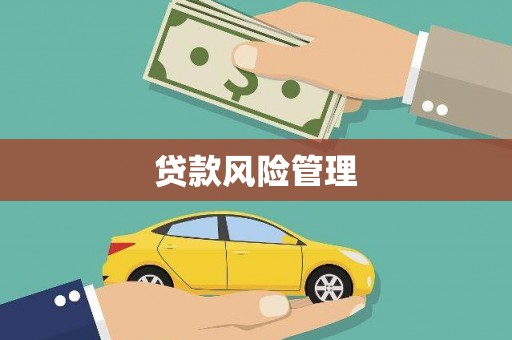 天元贷款风险管理