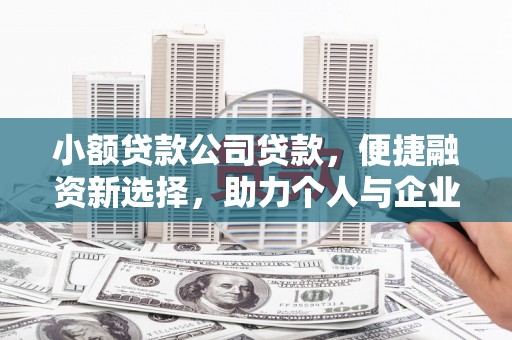 天元小额贷款公司贷款，便捷融资新选择，助力个人与企业成长