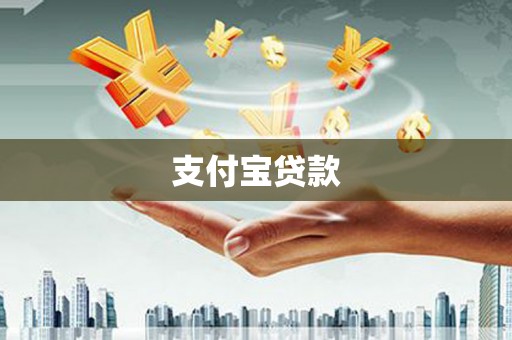 天元支付宝贷款