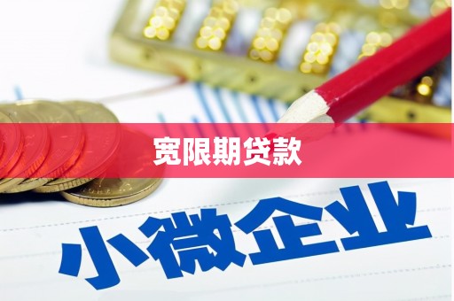 天元宽限期贷款