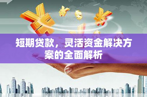 天元短期贷款，灵活资金解决方案的全面解析
