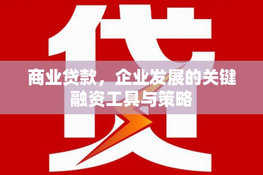 天元商业贷款，企业发展的关键融资工具与策略