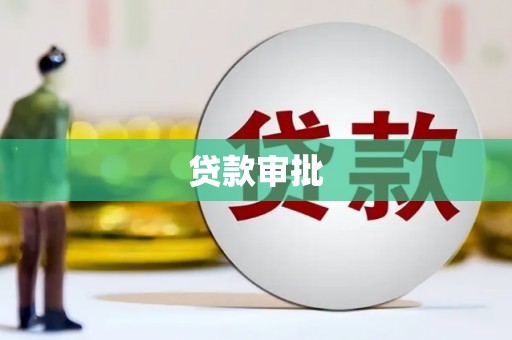 天元贷款审批
