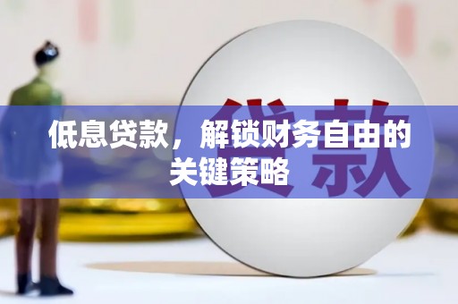 天元低息贷款，解锁财务自由的关键策略