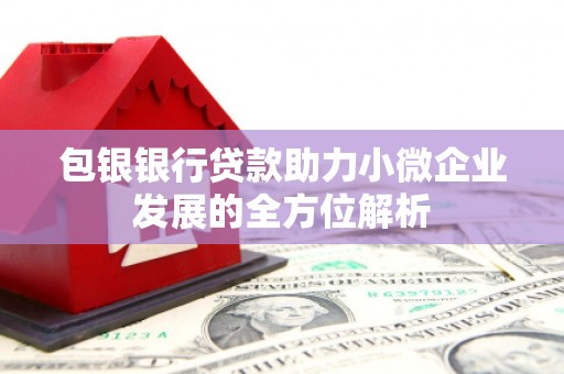 天元包银银行贷款助力小微企业发展的全方位解析