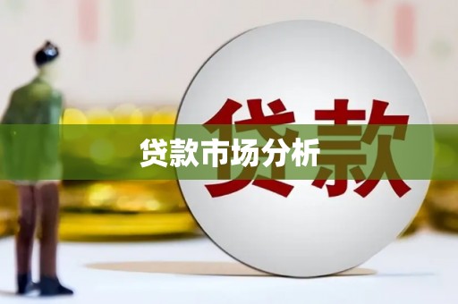 天元贷款市场分析