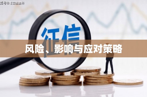 天元风险、影响与应对策略