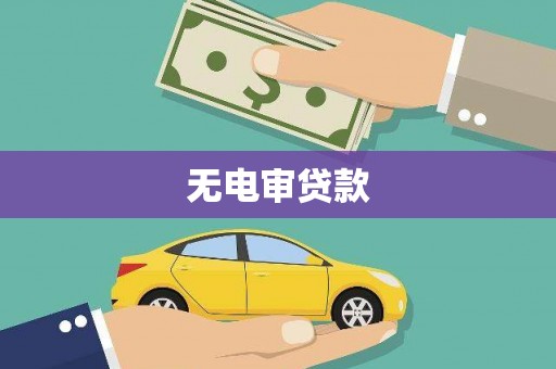 天元无电审贷款