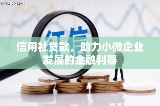 天元信用社贷款，助力小微企业发展的金融利器