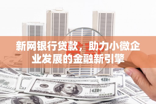 天元新网银行贷款，助力小微企业发展的金融新引擎