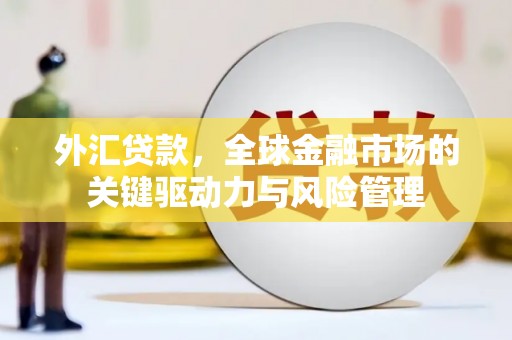 天元外汇贷款，全球金融市场的关键驱动力与风险管理