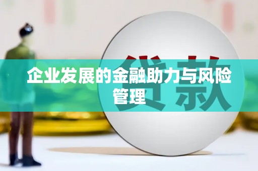 天元企业发展的金融助力与风险管理