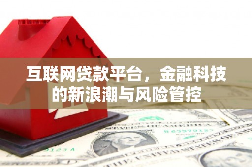 天元互联网贷款平台，金融科技的新浪潮与风险管控