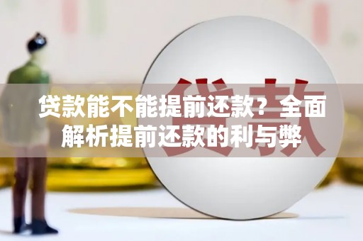 天元贷款能不能提前还款？全面解析提前还款的利与弊