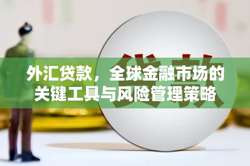 天元外汇贷款，全球金融市场的关键工具与风险管理策略