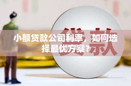 天元小额贷款公司利率，如何选择最优方案？