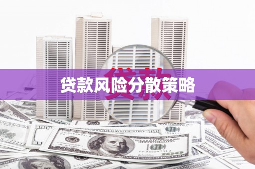 天元贷款风险分散策略