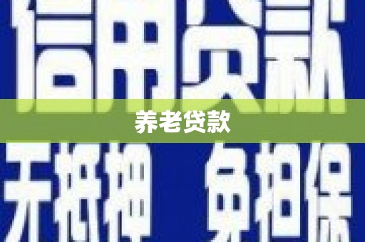 天元养老贷款