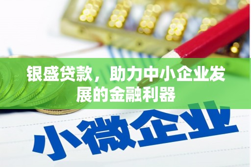 天元银盛贷款，助力中小企业发展的金融利器