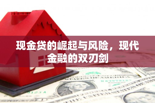 天元现金贷的崛起与风险，现代金融的双刃剑