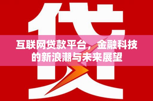 天元互联网贷款平台，金融科技的新浪潮与未来展望
