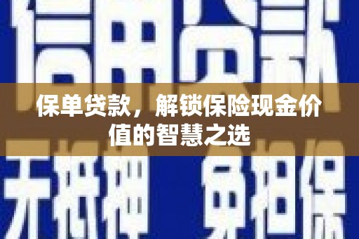 天元保单贷款，解锁保险现金价值的智慧之选