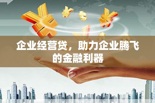 天元企业经营贷，助力企业腾飞的金融利器
