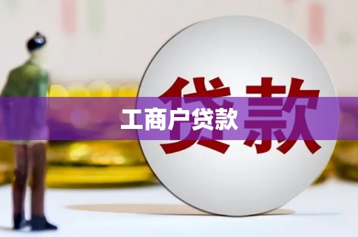 天元工商户贷款
