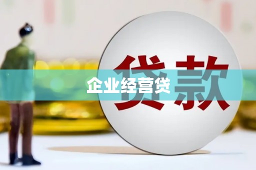 天元企业经营贷