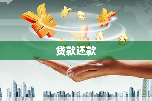 天元贷款还款
