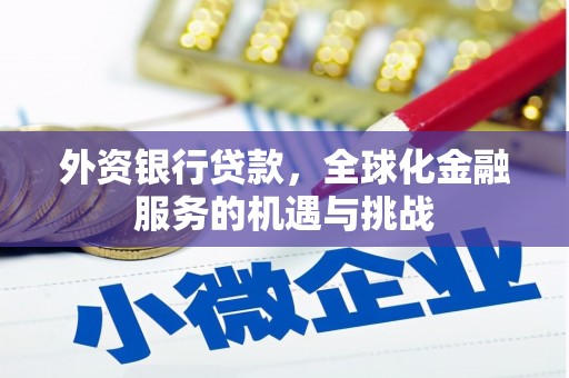 天元外资银行贷款，全球化金融服务的机遇与挑战