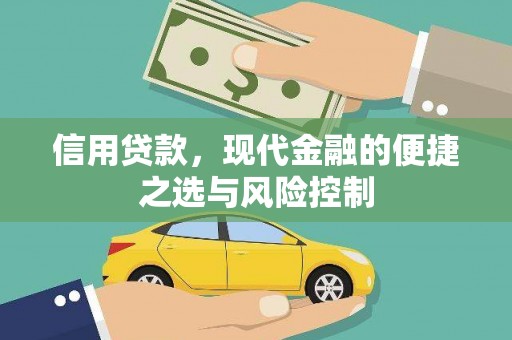 天元信用贷款，现代金融的便捷之选与风险控制