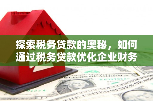 天元探索税务贷款的奥秘，如何通过税务贷款优化企业财务