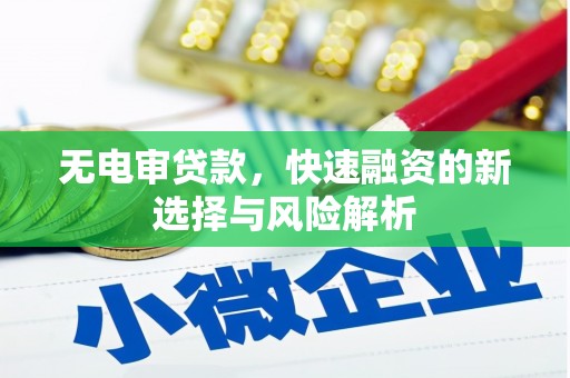 天元无电审贷款，快速融资的新选择与风险解析