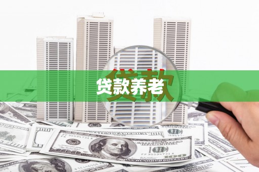 天元贷款养老