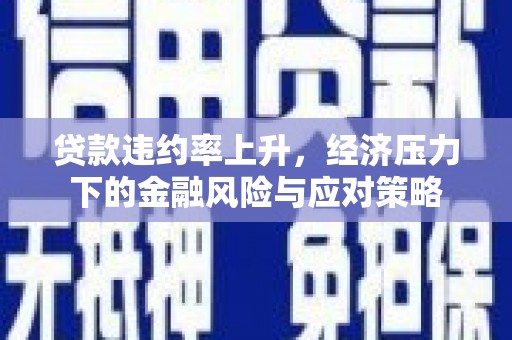 天元贷款违约率上升，经济压力下的金融风险与应对策略