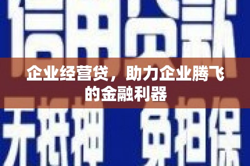 天元企业经营贷，助力企业腾飞的金融利器